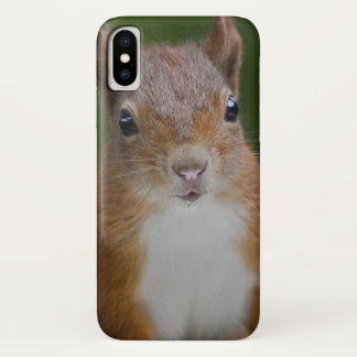 Thirsty Squirrel iPhone X Case