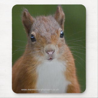 Thirsty Squirrel Mousemat
