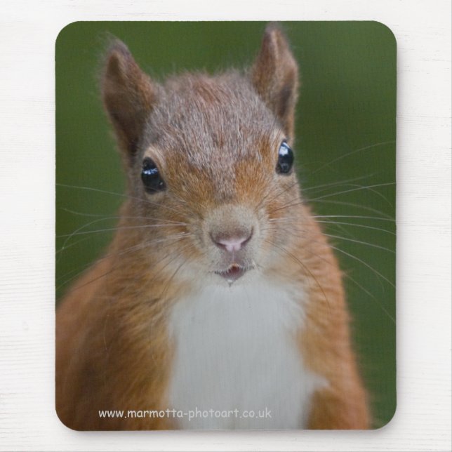Thirsty Squirrel Mousemat (Front)