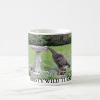 THIRSTY WILD TURKEY
