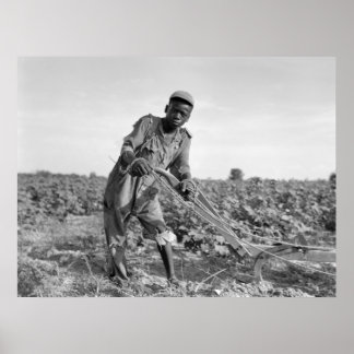 Thirteen-year old Ploughing a Field in Georgia Poster
