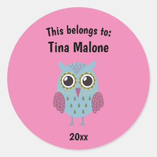This Belongs to Back to School Blue Owl Pink Classic Round Sticker