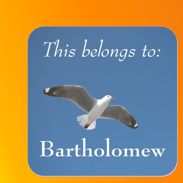 This Belongs To Blue Sky Seagull Photo Square Sticker (Front with Background)