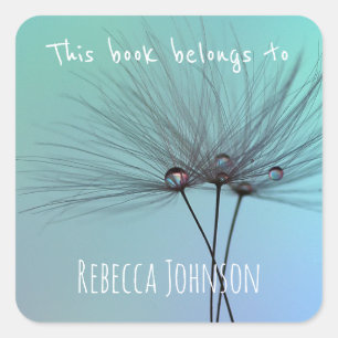 This book belongs to square sticker