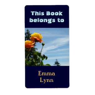 This books belongs to Your Name Book Tag Labels