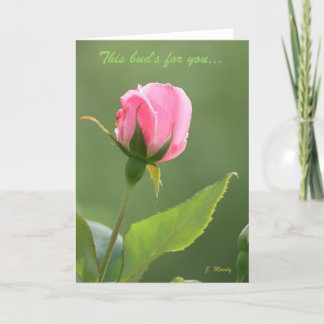 This Bud's for You Card