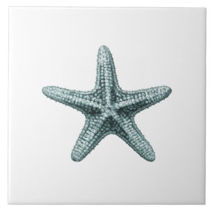 This classic antique typographic sea starfish desi tile