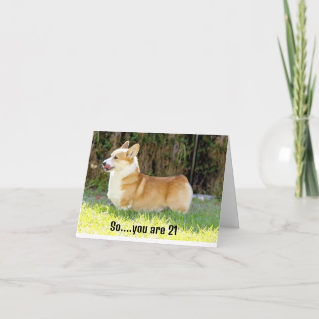 THIS CORGIE KNOWS WHY U R HAPPY AT 21 CARD (Front)