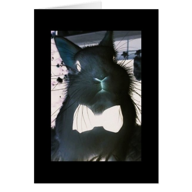THIS CRAZY BUNNY MEANS "BUSINESS" **HAPPY EASTER** (Front)