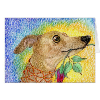 This dog aimed to please...