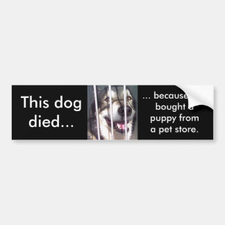 This Dog Died Bumper Sticker