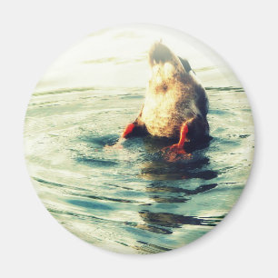 This End Up! Duck Butt Magnet