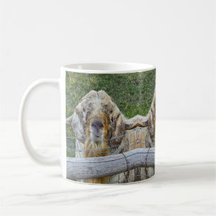 This friendly farm goat is looking at you. coffee mug
