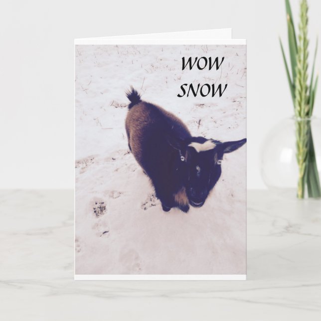 THIS GOAT IS SUCH A KIDDER ON YOUR BIRTHDAY CARD (Front)