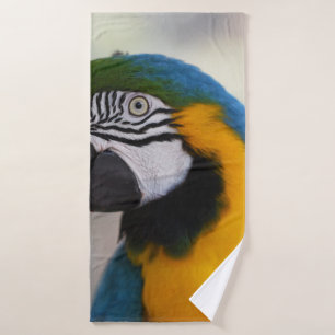 THIS GORGEOUS BIRD WAS FEEDING AT KURANDA BIRD WOR BATH TOWEL
