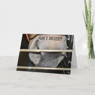 THIS HORSE IS "NOT NOSY" HAPPY BIRTHDAY TO YOU CARD