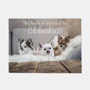 This House Is Protected By Chihuahuas Doormat