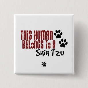 This Human Belongs to a Shih Tzu 15 Cm Square Badge