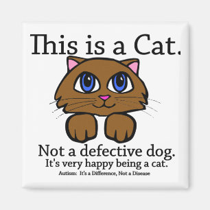 This is a Cat Magnets
