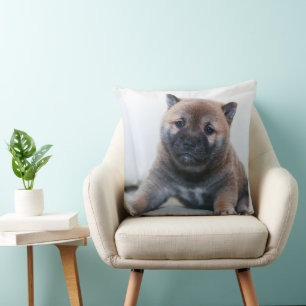 This is a precious Akita puppy, Pillow