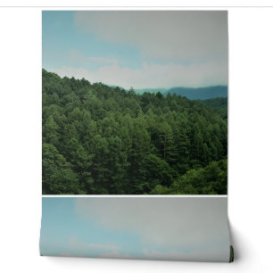 this is a wallpaper and other product.