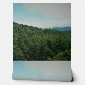this is a wallpaper and other product.