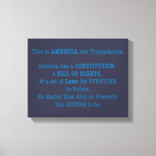 This is America Canvas Print