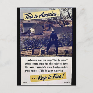 This Is America Keep It Free! Postcard