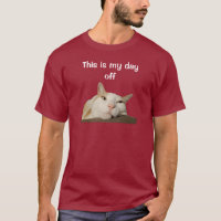 This is my Day Off Cat