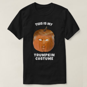 This is my Donald Trumpkin Costume  T-Shirt