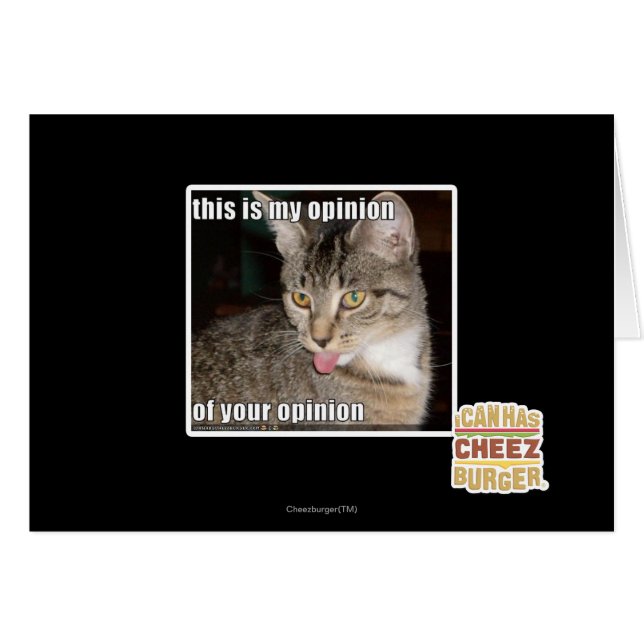 this is my opinion (Front Horizontal)