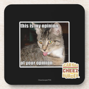 this is my opinion coaster