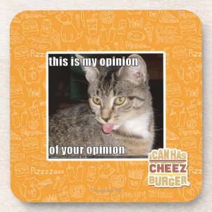 this is my opinion coaster