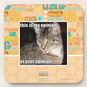 this is my opinion coaster