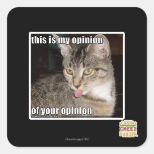 this is my opinion square sticker