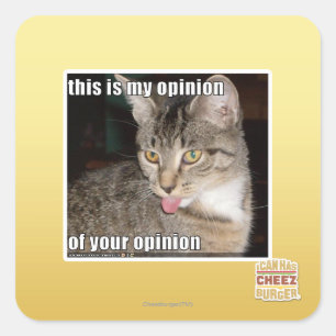 this is my opinion square sticker