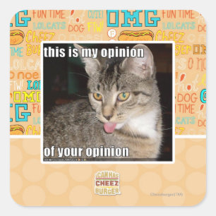 this is my opinion square sticker