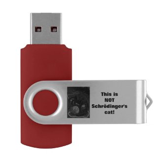 This is NOT Schrödinger's cat USB stick (Multicolo USB Flash Drive
