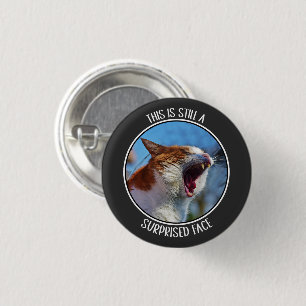 This is Still A Surprised Face Funny Cute Cat Meme 3 Cm Round Badge