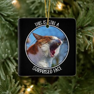 This is Still A Surprised Face Funny Cute Cat Meme Ceramic Ornament
