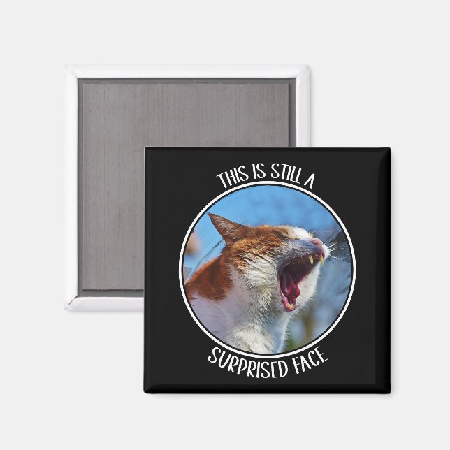 This is Still A Surprised Face Funny Cute Cat Meme Magnet (Front/Back)