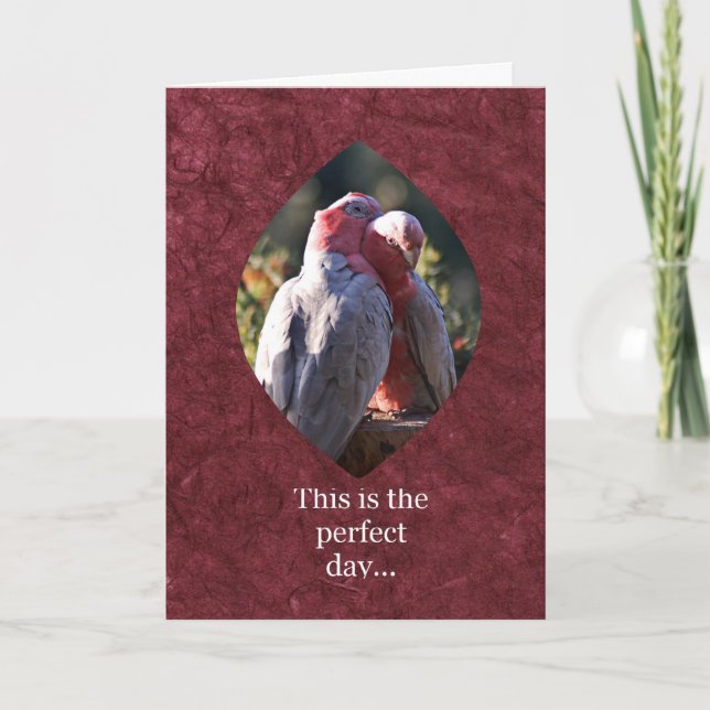 This is the perfect day holiday card (Front)