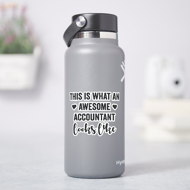 This Is What An Awesome Accountant Looks Like  (HydroFlask)