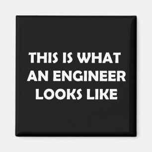 This is What an Engineer Looks Like Magnet