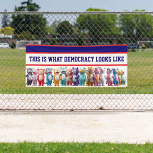 This is What Democracy Looks Like Protest Banner