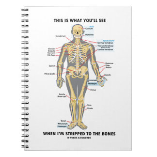 This Is What You'll See When I'm Stripped To Bones Notebook