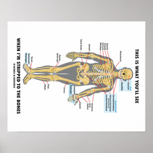 This Is What You'll See When I'm Stripped To Bones Poster