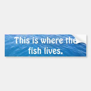 This is where the fish lives. bumper sticker