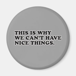 This Is Why We Can't Have Nice Things Magnet