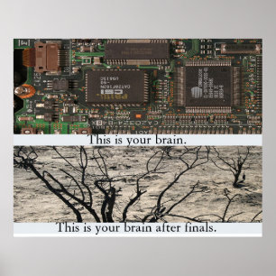 This is Your Brain. Poster